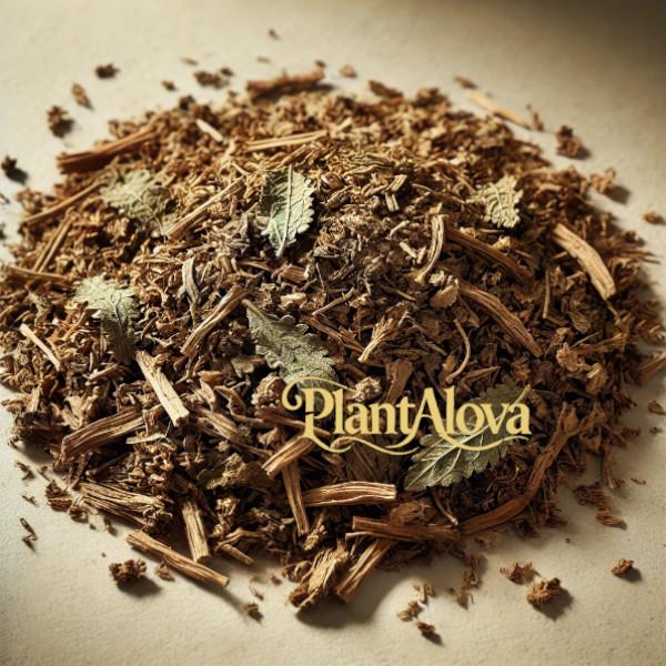 Image principale Damiana (Turnera diffusa) – Aphrodisiaque Naturel et Tonifiant